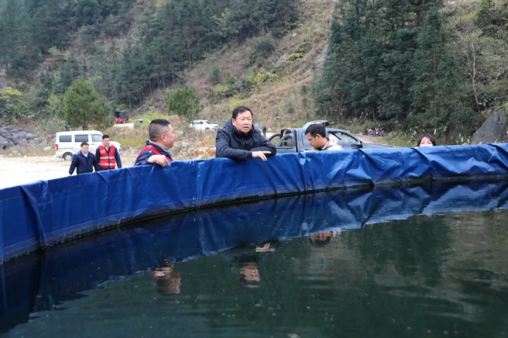 1873569800098201602.jpg 1873569800098201602.jpg