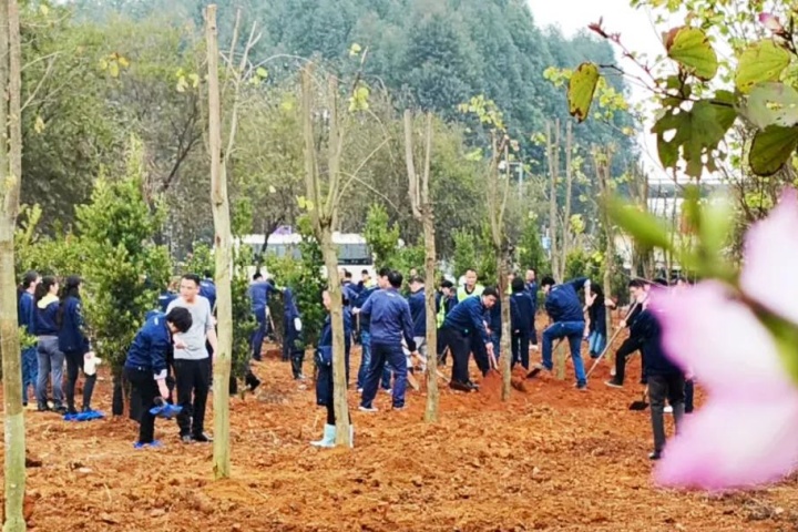 1899994912389120002.jpg 1899994912389120002.jpg